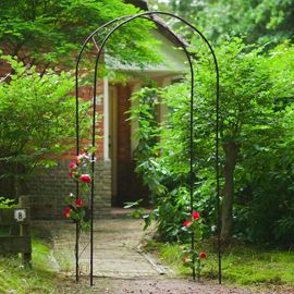 Prolenta Premium - Voûte De Jardin Métal 100x37x230 Cm Noir