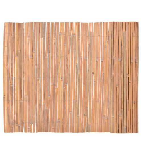 Prolenta Premium - Clôture En Bambou 100 X 400 Cm