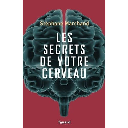 Les Secrets De Votre Cerveau