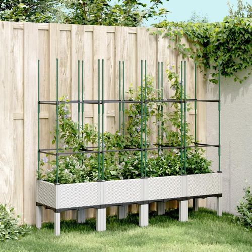 Prolenta Premium - Jardinière Avec Treillis Blanc 160x40x142,5 Cm Pp