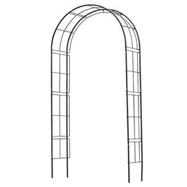 Prolenta Premium - Arche De Jardin Métal 229x38x113 Cm Noir