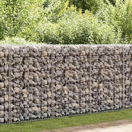 Prolenta Premium - Panier De Gabion Avec Couvercle Fil Galvanisé 100x50x30 Cm