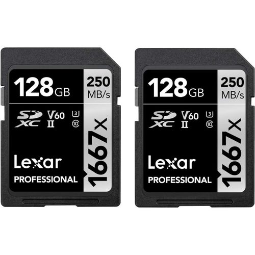 Professional 1667X Carte Sd 128 Go, Lot De 2 Cartes, Carte Memoire Sdxc Uhs-Ii, Jusqu'À 250 Mo/S En Lecture, Class 10, U3, V60, Sd Pour Photographe Professionnel, Vidéaste, (Lsd166[Gopro4431]
