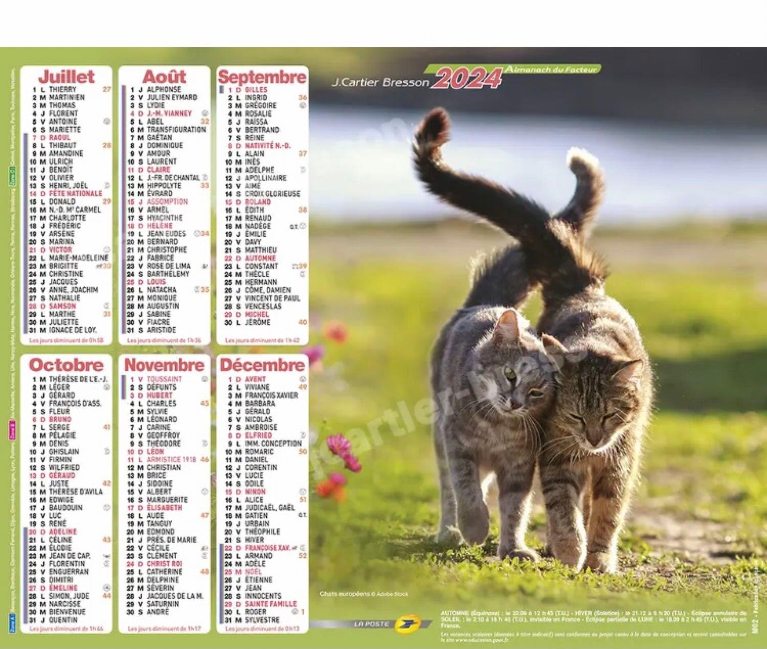  Calendrier 2024 Les Chatons