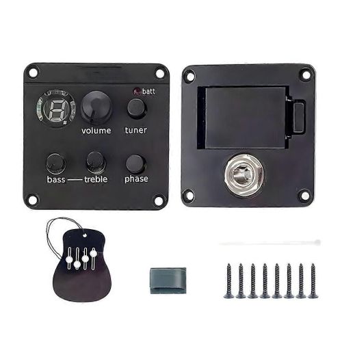 Guitare Isys+Micros Piézoélectriques Préamplis Intégrés Avec Tuner Volumes Contrôle De Phase