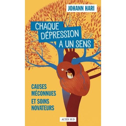 Chaque Dépression A Un Sens - Causes Méconnues Et Soins Novateurs