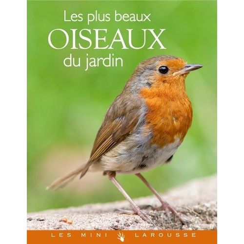 Les Plus Beaux Oiseaux Du Jardin