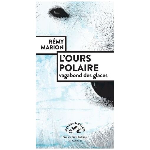 L'ours Polaire - Vagabond Des Glaces