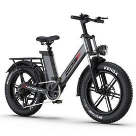 Vélo électrique RCB Vélo Électrique 20x4.0 VTT Fat EBike Electrique Pliable, Batterie Moteur 250W, 48V 15AH,Portée 45-80km Noir