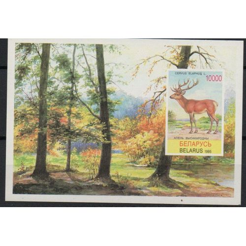 Biélorussie Timbre Animal Des Forêts : Le Cerf 1995