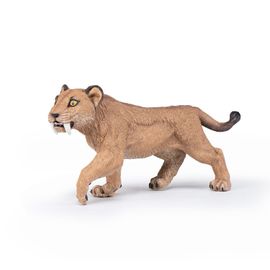 Les Dinosaures Jeune Smilodon