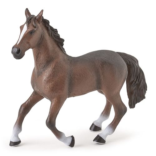 Chevaux, Poulains Et Poneys Grand Cheval Marron