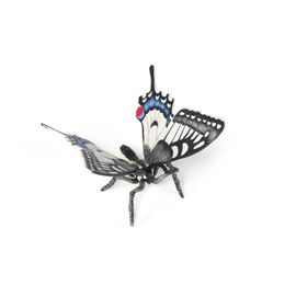 La Vie Sauvage Papillon Machaon