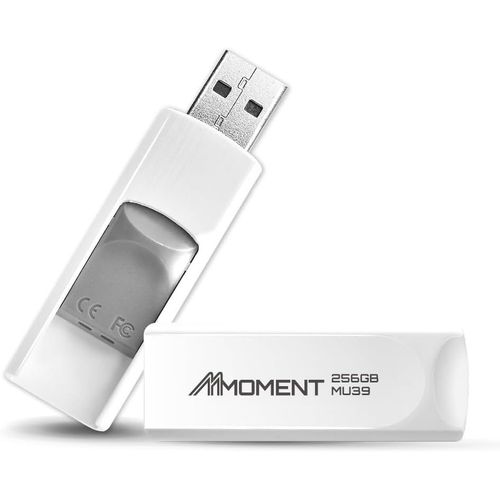 SHIBA-MU39 Clé USB 3.1 Gen1 256 Go, Vitesse de Lecture jusqu'à 100 Mo/s, Design rétractable[1572]