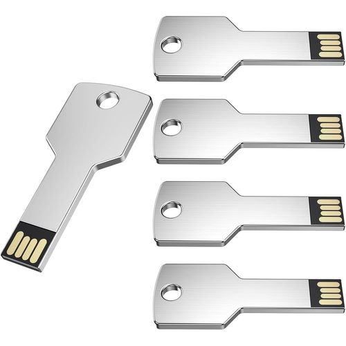 SHIBA-Clé USB 32Go Forme de Clé 5 Pièces USB 2.0 Argenté Cle USB Nouveauté Mémoire Stick Étanche Thumb Drive Stockage de Données [1