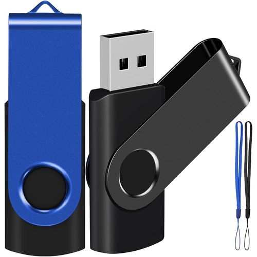 SHIBA-Lot de 2 clés USB de 2 Go avec cordon gratuit (noir et bleu)[1569]