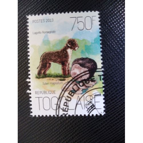 Timbre Togo Y T 3681 Truffe Blanche & Lagotto Romagnolo 2013 (120509 )