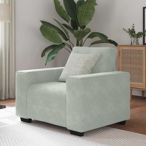 Vidaxl Fauteuil Gris Clair 60 Cm Velours