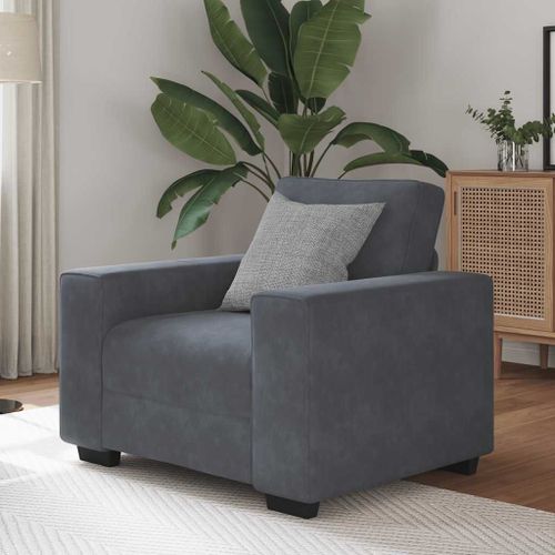 Vidaxl Fauteuil Gris Foncé 60 Cm Velours