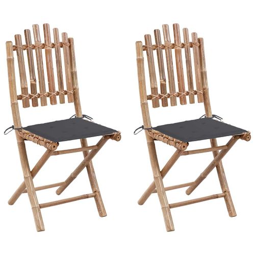 Vidaxl Chaises Pliables De Jardin 2 Pcs Avec Coussins Bambou