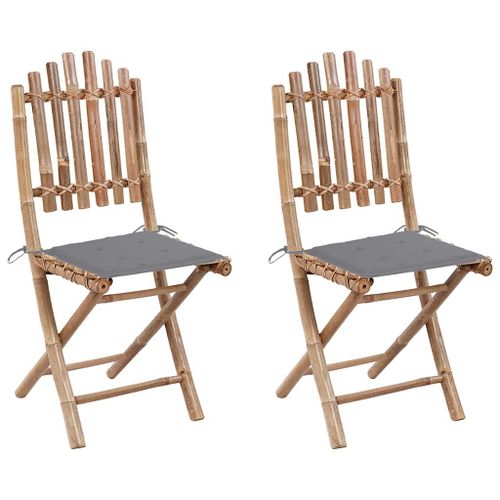 Vidaxl Chaises Pliables De Jardin 2 Pcs Avec Coussins Bambou