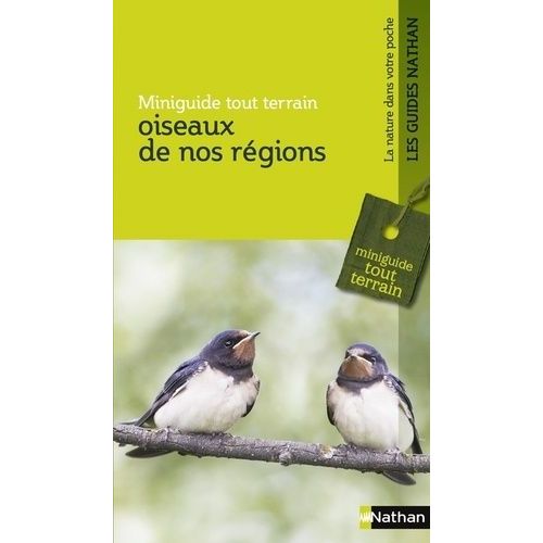 Oiseaux De Nos Régions