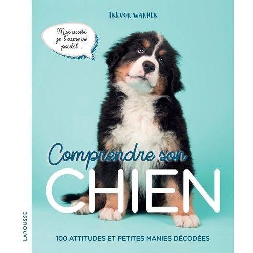 Comprendre Son Chien - 100 Attitudes Et Manies Décodées
