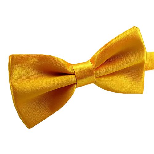N?Ud Papillon De Couleur Unie, Facile À Porter, En Polyester, Réglable, Pré-Noué Pour Les Occasions Formelles-Champagne