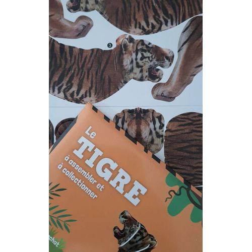Le tigre avec kikidoc - nathan - 3133099106371