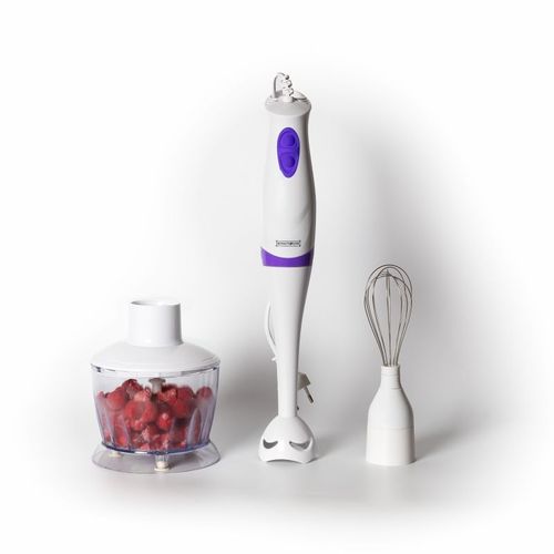 Set mixeur plongeant 3en1 250W Royalty Line RLSMS2502