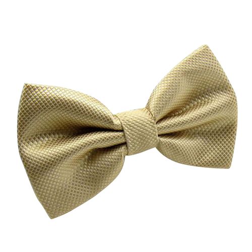 Noeud Papillon Fait À La Main En Polyester Durable, Cravate De Mariage Pour Mariage-Champagne