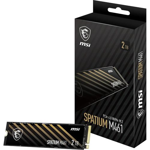 ytseazn-SpatiumM461 Pcie 4.0 NvmeM.2 2Tb- Disque Ssd Interne 2 To,Pcie 4.0 NvmeM.2,Lecture 5000Mb/S & Écriture 4200Mb/S,3D Nand,Sécurité Des Données Intégrée,Center,450 Tbw,Garantie 5 Ans