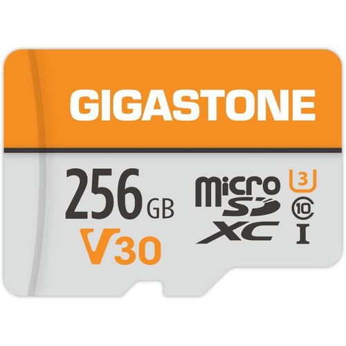 Ytseazn-Cartemémoire 256 Go Compatible Avec Gopro Caméra Drone Samsung Tablette,Haute Vitesse De Lecture 100mo/S Idéal Pour 4k Uhd Vidéo,A1 C10 U3 Cartemicro Sd Avecmini Étui Et Adaptateur Sd-Générique