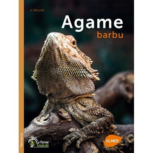 Agame Barbu