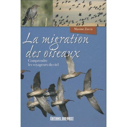 La Migration Des Oiseaux - Comprendre Les Voyageurs Du Ciel