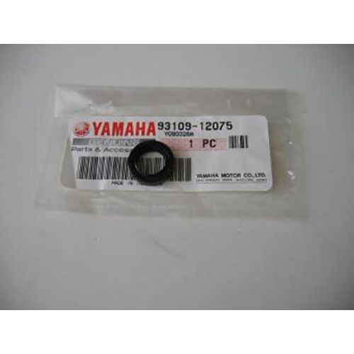 Roulement Ou Joint Spi Moteur Origine Pour Moto Yamaha 1200 Xjr 1995 À 1998 93109-12075 Neuf