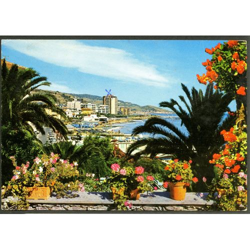 Carte Postale Riviera Dei Fiori, Arma Di Taggia, Vue Charmante Parmi Les Palmiers