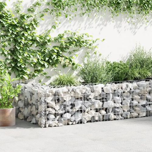 Panier De Gabion Acier Galvanisé 300x30x50 Cm