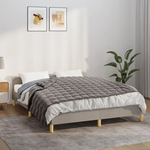 Couverture Lestée Gris 138x200 Cm 6 Kg Tissu
