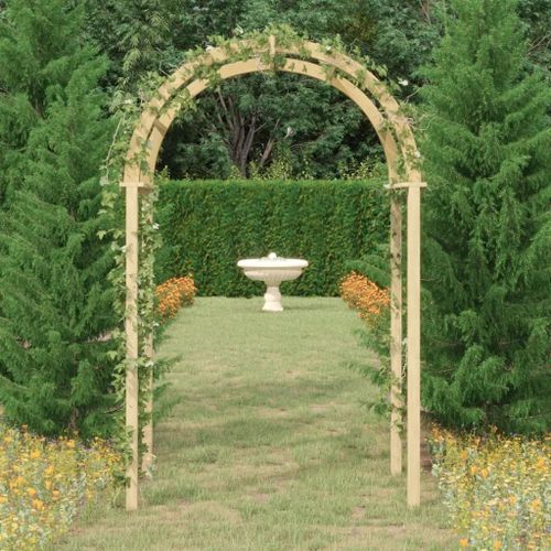 Arche 141x97x243 Cm Bois De Pin Massif Imprégné