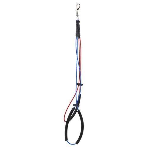 Chien Chat Toilettage Boucle Cordes De N?ud Coulant Réglable Pour Baignoire De Bras De Table Pour Animaux De Compagnie (L)