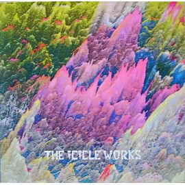 Birds Fly - The Icicle Works