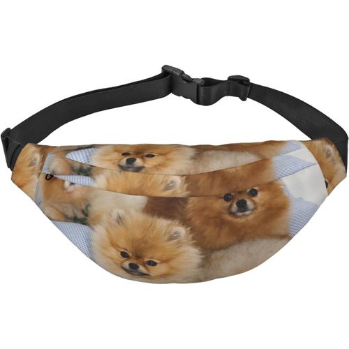 Mignon Poméranie Imprimer Fanny Pack Étanche Réglable Ceinture Sac Casual Sacs À Bandoulière Pour Voyage Randonnée Course À Pied Cyclisme, Noir , Taille Unique