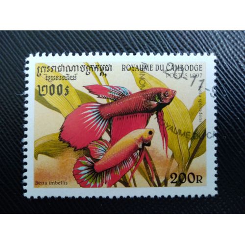 Timbre Cambodge Y T 1468 Poisson Combattant Siamois, Betta Croissant 1997 (140509 )