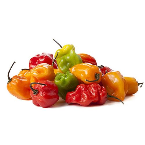 25 Graines De Piment Antillais Habanero Méthode Bio Seeds Légumes Potager