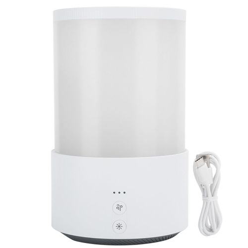 CONNOR Mini humidificateur d'air pour voiture 650 ml, double pulverisation, humidificateur a brume fraiche de bureau, chargement USB, blanc