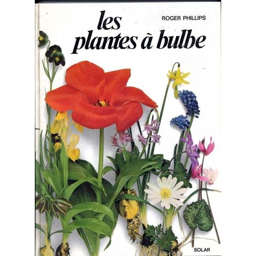 Les Plantes À Bulbe