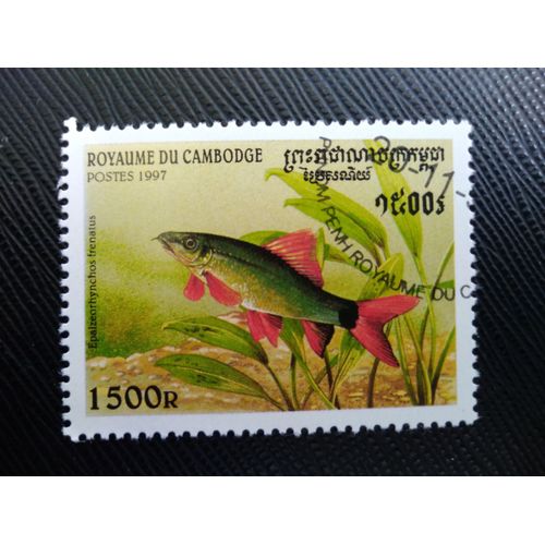 Timbre Cambodge Y T 1472 Poisson Arc-En-Ciel (Epalzeorhynchos Frenatus) 1997 (140509 )