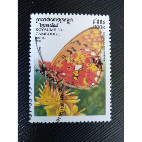 Timbre Cambodge Y T 1615 Fritillaire À Bordure Perlée (Clossiana Euphrosyne) 1999 (140509 )