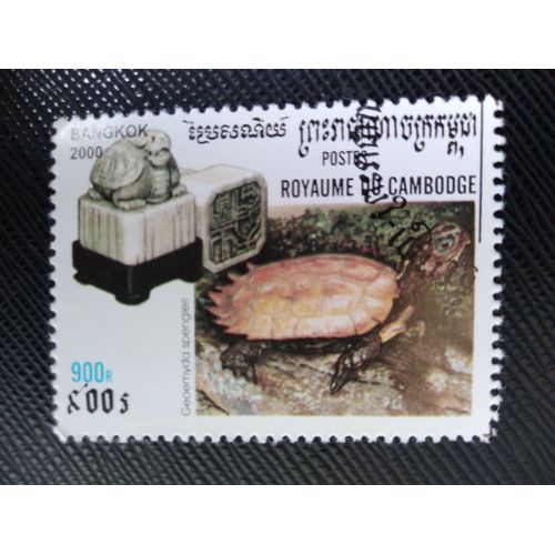 Timbre Cambodge Y T 1697 Tortue Feuille À Poitrine Noire (Geoemyda Spengleri) 2000 (140509 )